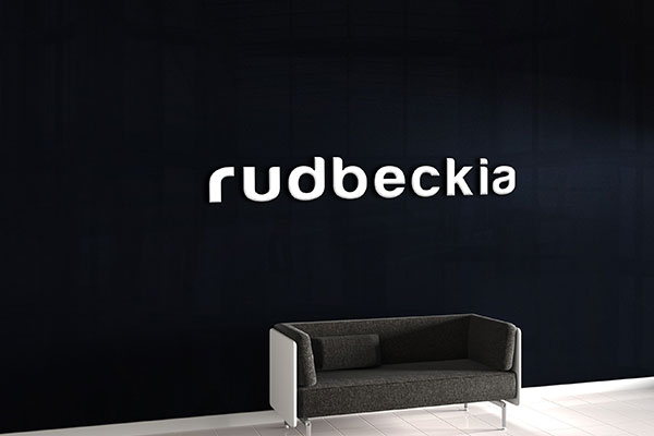 Custom Lobby Signage for Rudbeckia in Wilmington